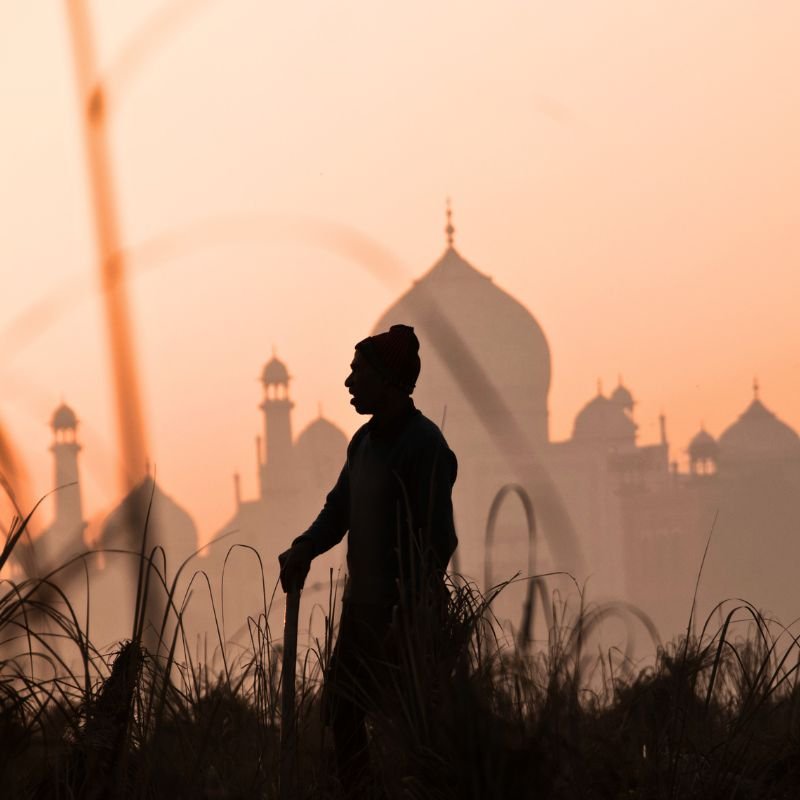 The Taj Mahal glowing at first light